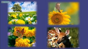 Окружающий мир. Космические тела. Солнце - источник тепла и света.