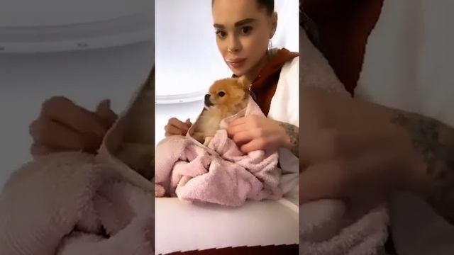 Кристина Сафронова (@safronovakristinaofficial) • Instagram