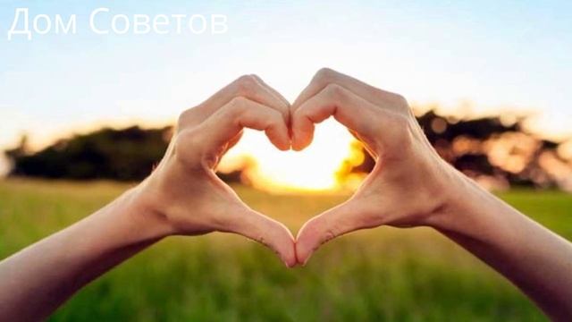 Любимая еда детства — Смола с плодовых Деревьев. В чём польза? смотреть онлайн