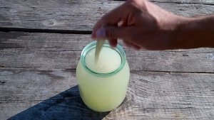 Чудо-дыня на зиму