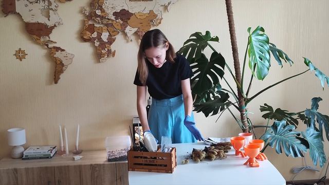 СПАСАЮ кактус | Пересадка и деление старого кактуса