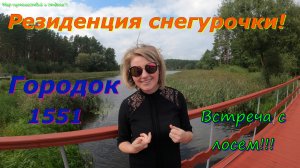 ?РЕЗИДЕНЦИЯ СНЕГУРОЧКИ? г. Городок ?Встреча с лосем на дороге?