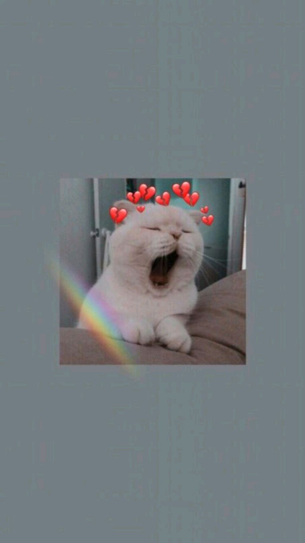 дп