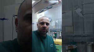 У собаки красные пятна на коже. Что делать