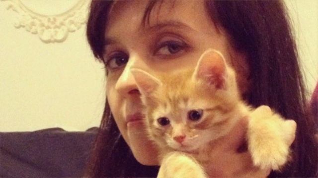 КАК Я ЗАВЕЛА КОТА  История Мяуша