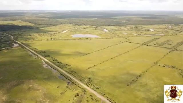Участок Московский тракт  Тюменский гектар  100 соток