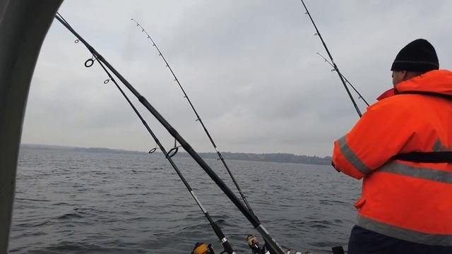 Селедка пошла. Морская Рыбалка на Балтийском море с Лодки.