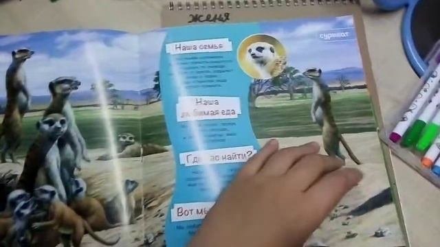 Книга Энциклопедия для малышей. Животные Африки