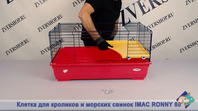 Клетка для кроликов и морских свинок IMAC Ronny 80 смотреть онлайн
