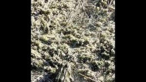 Необыкновенное Голубое ощеро в Сергиевском районе Самарской области.