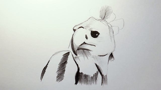 Редкая Птица - Южноамериканская Гарпия смотреть онлайн