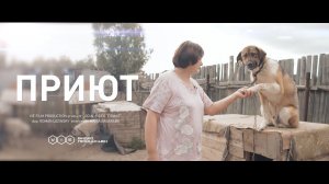 Социальный ролик «ПРИЮТ СОБАК»