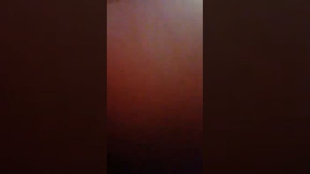 Поход в Пятёрочку?????? ч.2 #видео, #походвмагазин, #топ, #класс, #лайк, #подписка. смотреть онлайн