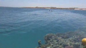 Риф рядом с зданием порта, Порт Галиб, Египет.