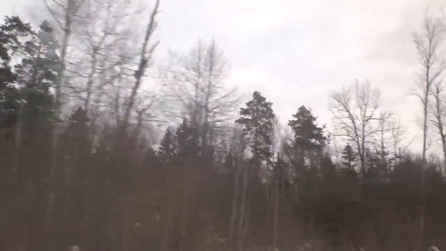 Серпухов, автобус 144, участок Кремёнки - Заводская