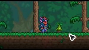 Все питомцы в террарии.