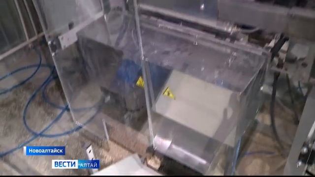 Супруги из Новоалтайска придумали уникальные каши для собак смотреть онлайн