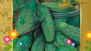 Огурец сортовой Парижский корнишон. Краткий обзор, описание характеристик Parizhskiy kornishon