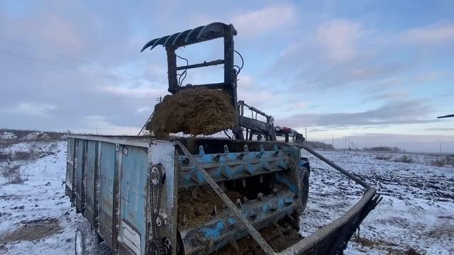 Три трактора мтз 82 работают на ферме.Беларус раздает сенаж по базам.Совхоз АО„ВОСТОК“