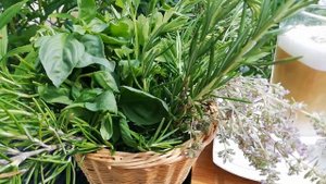 Мёд с травами и ягодами - полезная заготовка на зиму.