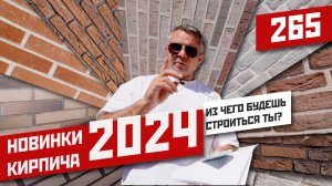 Облицовочный кирпич Топ новинки 2024 | Демопарк- кирпичное место №1