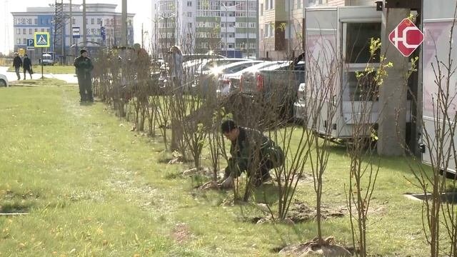 Новая изгородь