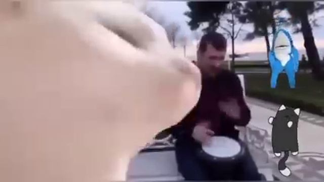 Cat vibing to Ievan Polkka - pari papa piripipi смотреть онлайн