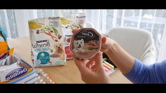 Питание и уход за породой Шпиц померанский.