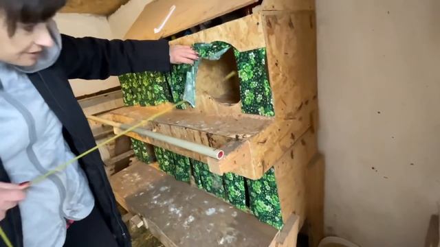Все просят размеры моих гнезд со скатом яиц в яйцеприемник