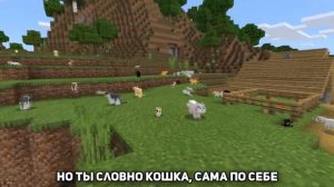 КОШКА (RASA) ПОЁТ КОШКА | MINECRAFT МУЗЫКА