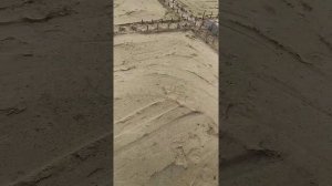 Подготовка подушки планировка песка и щебня под септик