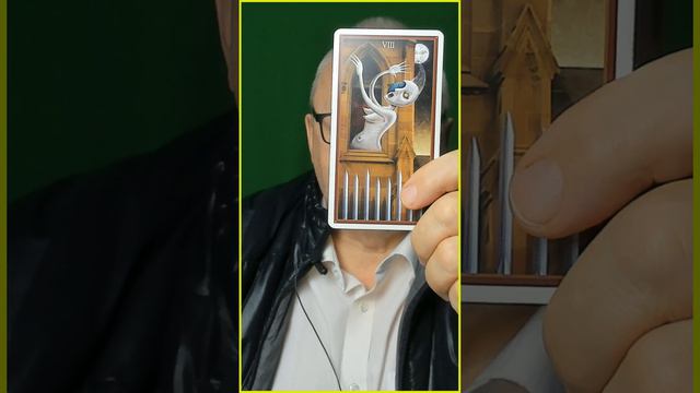 Ситуация сложная , а партнер в неадекватен. Посмотрите ,что  делать. карты таро