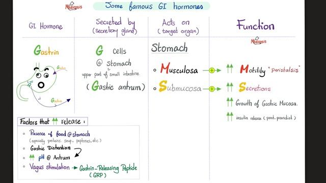 Gastrointestinal Secretions (Hormones) | GI physiology Series | Physiology Playlist смотреть онлайн