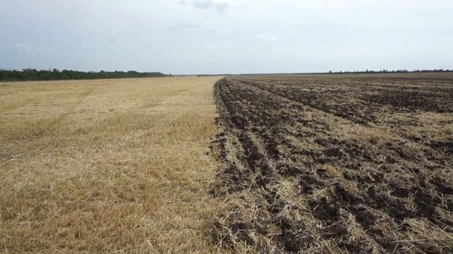 Cтаница-на-Дону от 15 августа 2019 смотреть онлайн