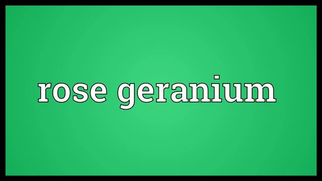 Rose geranium Meaning смотреть онлайн