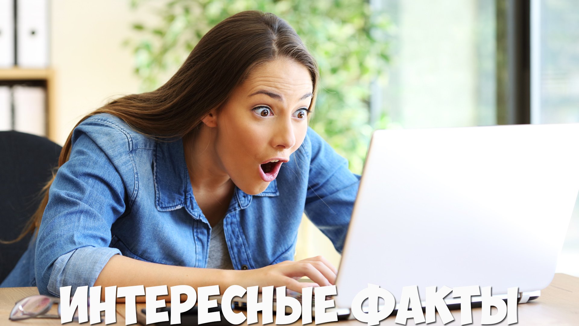 Куча интересных фактов, которые тебя удивят