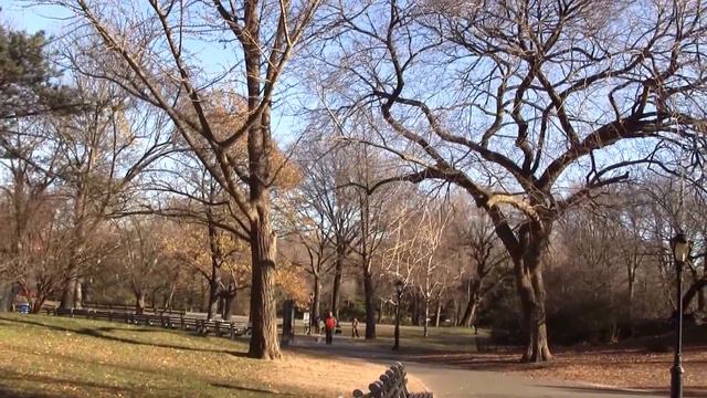 New York, Central Park. Нью Йорк, Центральный парк (1133sp) смотреть онлайн