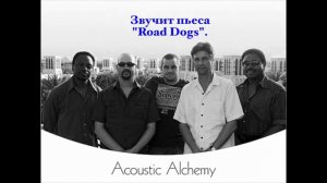 Группа "Acoustic Alchemy".