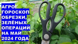 Агрогороскоп обрезки, зеленых операций в мае 2024Agrohoroscope for pruning garden green operations i