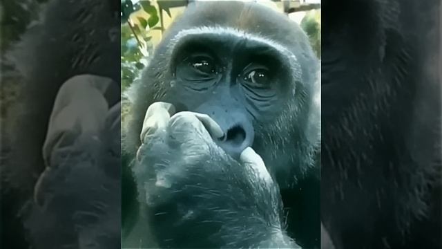 Как начать бизнес и разбогатеть....
#shorts