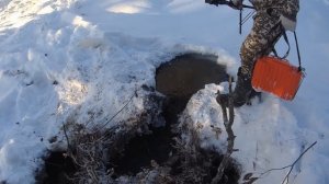 Собираем гигантских щук руками! Замор на озере и рыбалка руками