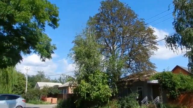КОМУ-ТО НЫНЧЕ ПЛАЧЕТСЯ, А КОМУ СМЕЁТСЯ #калинаСпелая #осока #песняизПрошлого