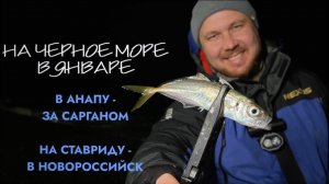 На Чёрное море в январе В Анапу на поиски саргана. Ловля ставриды в Широкой Балке