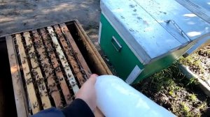 Обработка пчел бипином! Подробно показываю, от и до!