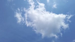 Нежная Музыка Успокаивает Нервную Систему И Радует Душу