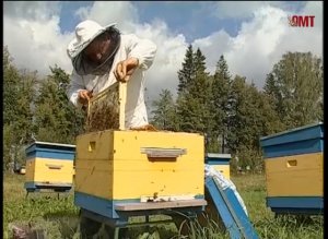 Фильм В. Авилкина "Люди и пчелы". 1 часть.