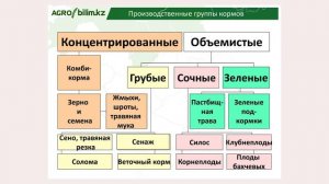 Семинар на тему: "Кормовая база - основа высокой продуктивности сельскохозяйственных животных".