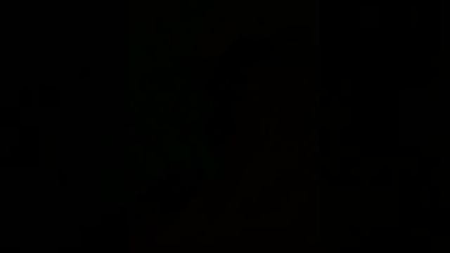 2011 Night Walkthrough Trail of Terror Haunted House смотреть онлайн