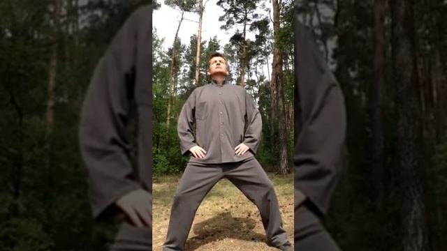 Цигун для Здоровой спины, Часть 3 смотреть онлайн