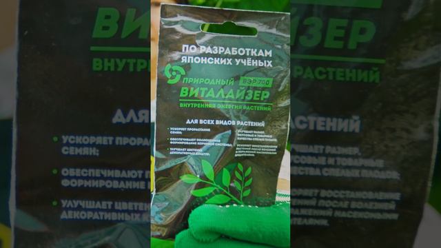 Томатов станет больше даже в теплице. #дача #огород #сад #овощи #лето #garden #томаты #помидоры